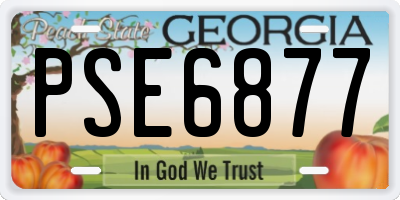 GA license plate PSE6877
