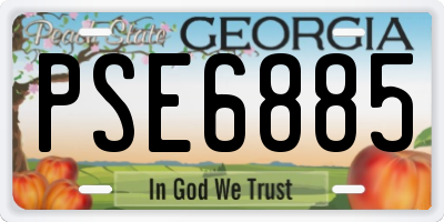 GA license plate PSE6885