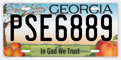 GA license plate PSE6889