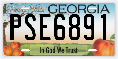 GA license plate PSE6891