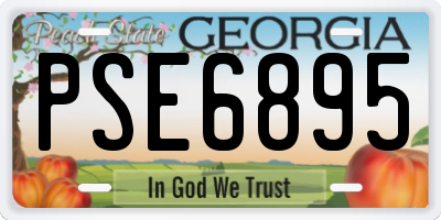 GA license plate PSE6895