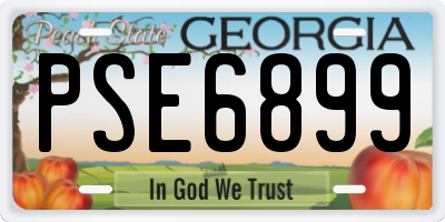 GA license plate PSE6899