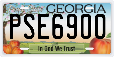 GA license plate PSE6900