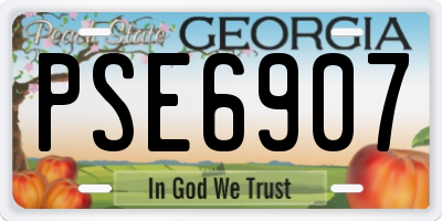 GA license plate PSE6907