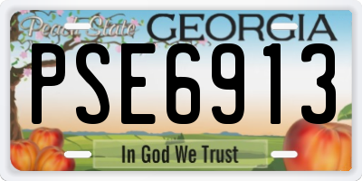 GA license plate PSE6913