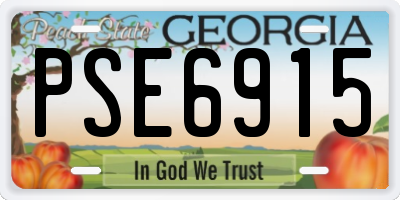 GA license plate PSE6915