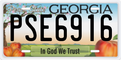 GA license plate PSE6916