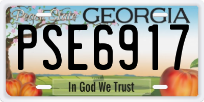 GA license plate PSE6917