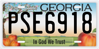 GA license plate PSE6918