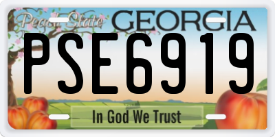 GA license plate PSE6919