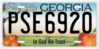 GA license plate PSE6920