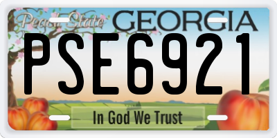GA license plate PSE6921