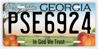 GA license plate PSE6924