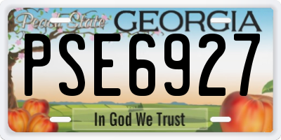 GA license plate PSE6927