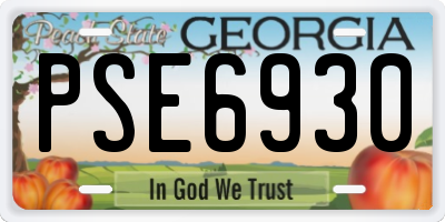 GA license plate PSE6930