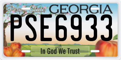 GA license plate PSE6933