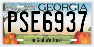 GA license plate PSE6937