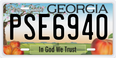 GA license plate PSE6940