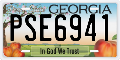 GA license plate PSE6941