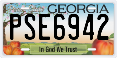 GA license plate PSE6942