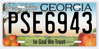GA license plate PSE6943