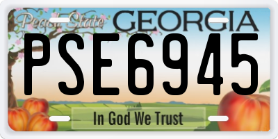 GA license plate PSE6945