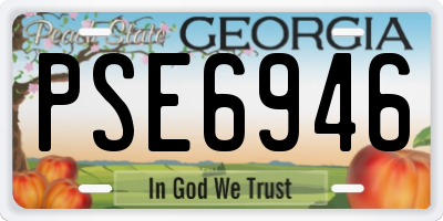 GA license plate PSE6946