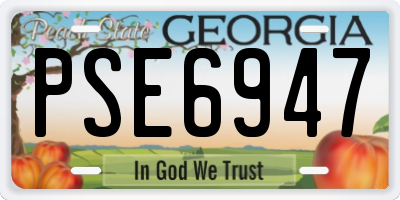 GA license plate PSE6947