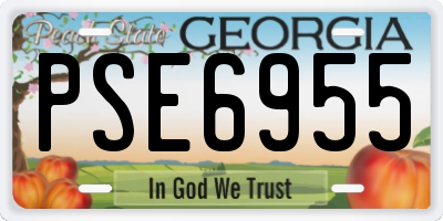 GA license plate PSE6955