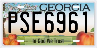GA license plate PSE6961
