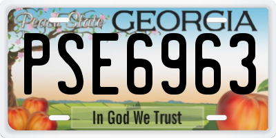 GA license plate PSE6963