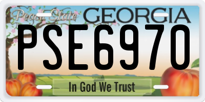 GA license plate PSE6970