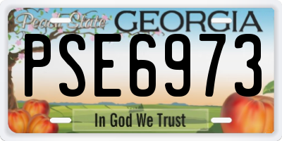 GA license plate PSE6973