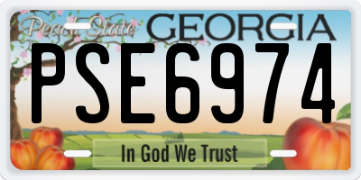 GA license plate PSE6974