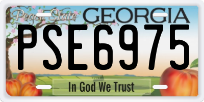 GA license plate PSE6975