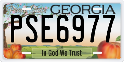 GA license plate PSE6977