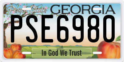 GA license plate PSE6980