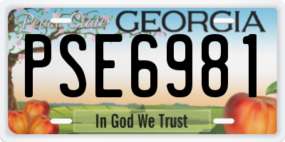GA license plate PSE6981