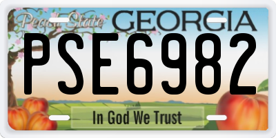 GA license plate PSE6982