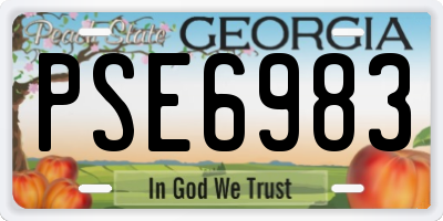 GA license plate PSE6983