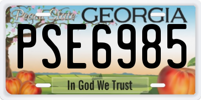 GA license plate PSE6985