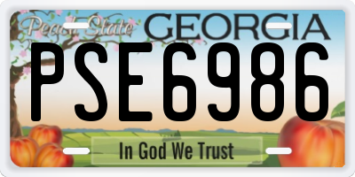 GA license plate PSE6986