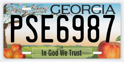 GA license plate PSE6987