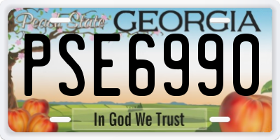 GA license plate PSE6990