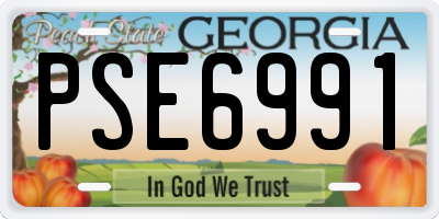 GA license plate PSE6991