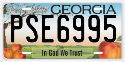 GA license plate PSE6995