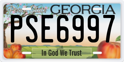 GA license plate PSE6997