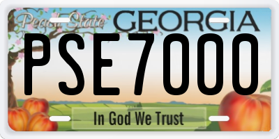 GA license plate PSE7000