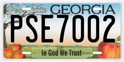 GA license plate PSE7002