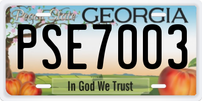 GA license plate PSE7003